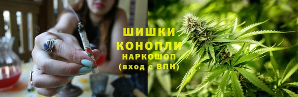 прущие грибы Белоозёрский