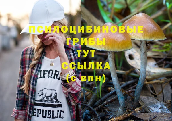 не бодяженный Богданович