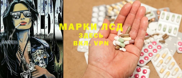 прущие грибы Белоозёрский